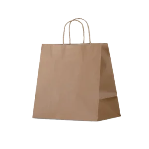 LARGE TWISTED HANDLE PAPER BAG